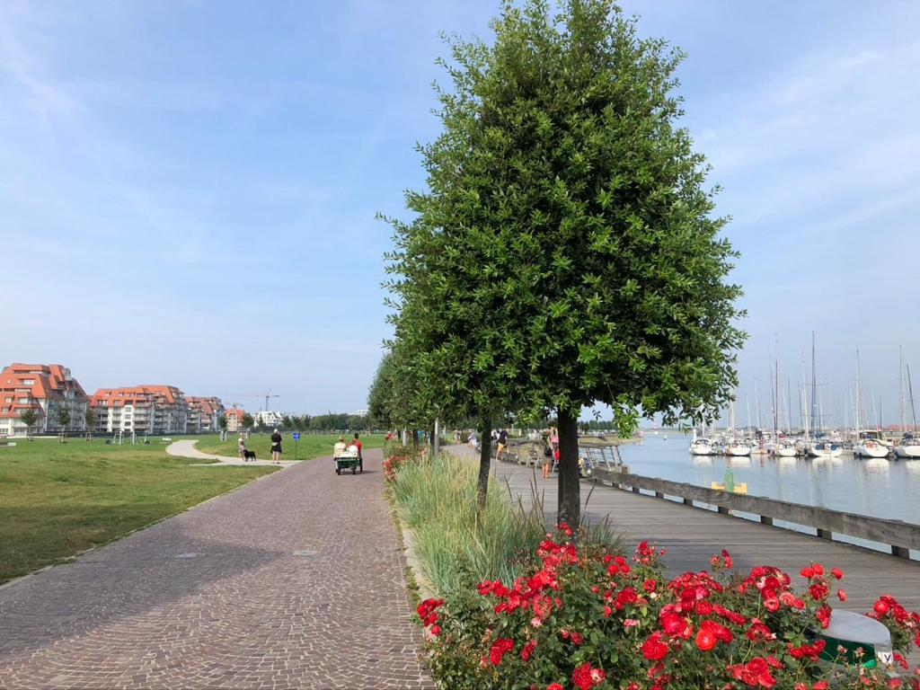 Amelotte Apartment Nieuwpoort Luaran gambar